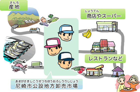産地（さんち）　→　尼崎市公設地方卸売市場（あまがさきしこうせつちほうおろしうりしじょう）　→商店（しょうてん）やスーパー　レストランなど
